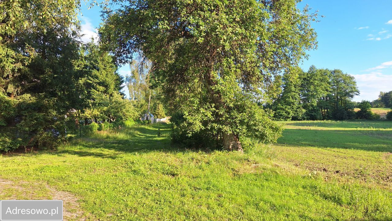 gospodarstwo, 3 pokoje Knyki. Zdjęcie 14