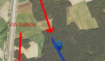 Działka leśna Karwowo