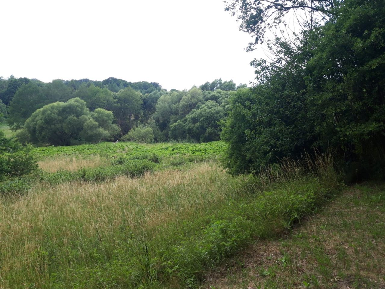 Działka budowlana Tyczewo, Tyczewo. Zdjęcie 4