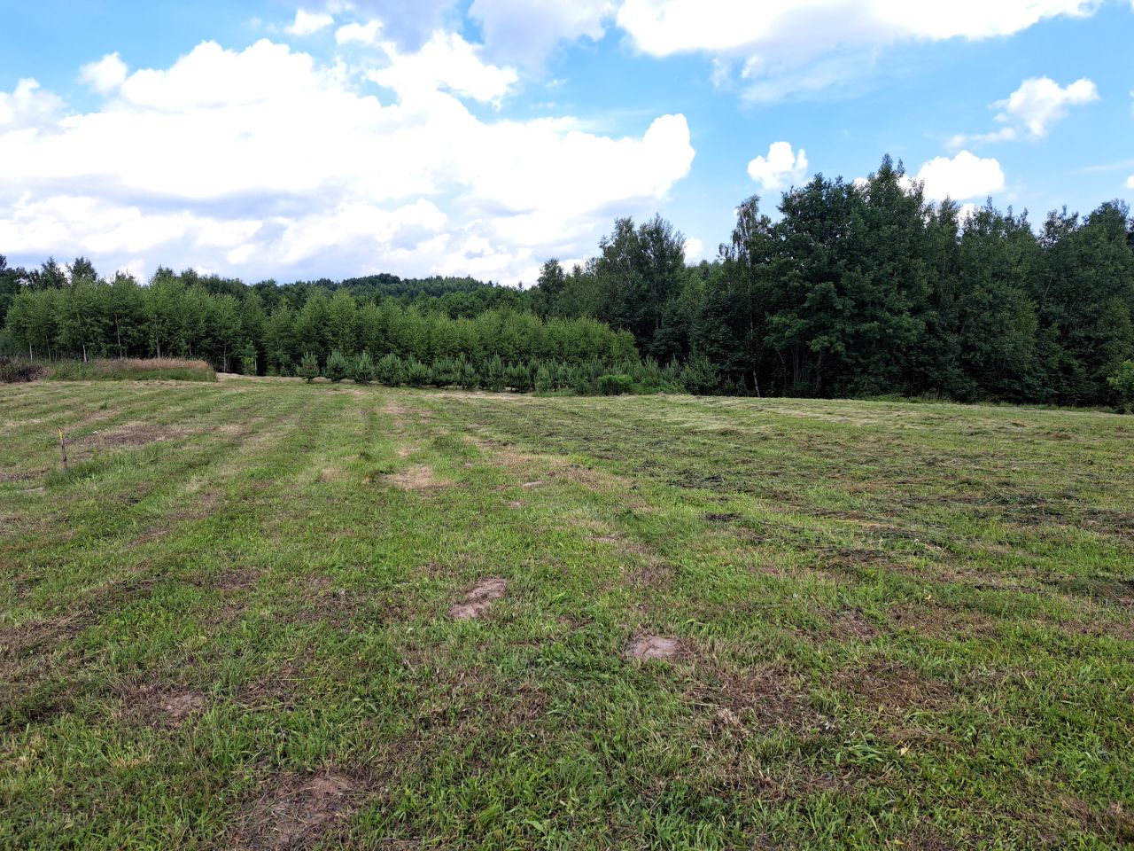 Działka rolno-budowlana Kolonia Gorzków. Zdjęcie 6