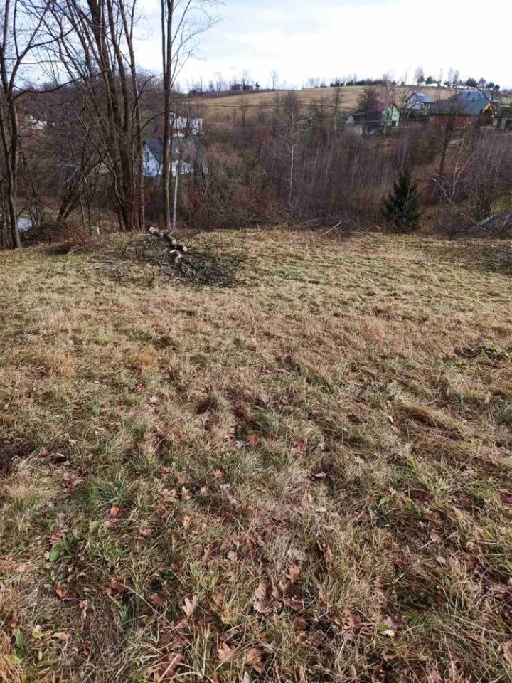 Działka rolna Poraż. Zdjęcie 5