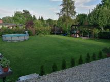 Działka rod Chorzów Maciejkowice, ul. Michałkowicka. Zdjęcie 1