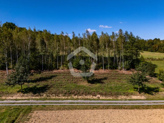 Działka budowlana Zagorzyce. Zdjęcie 1