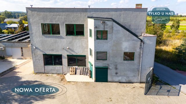 Lokal Orzechówek. Zdjęcie 4