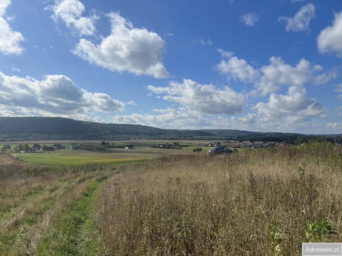 Działka budowlana Nienadowa. Zdjęcie 6