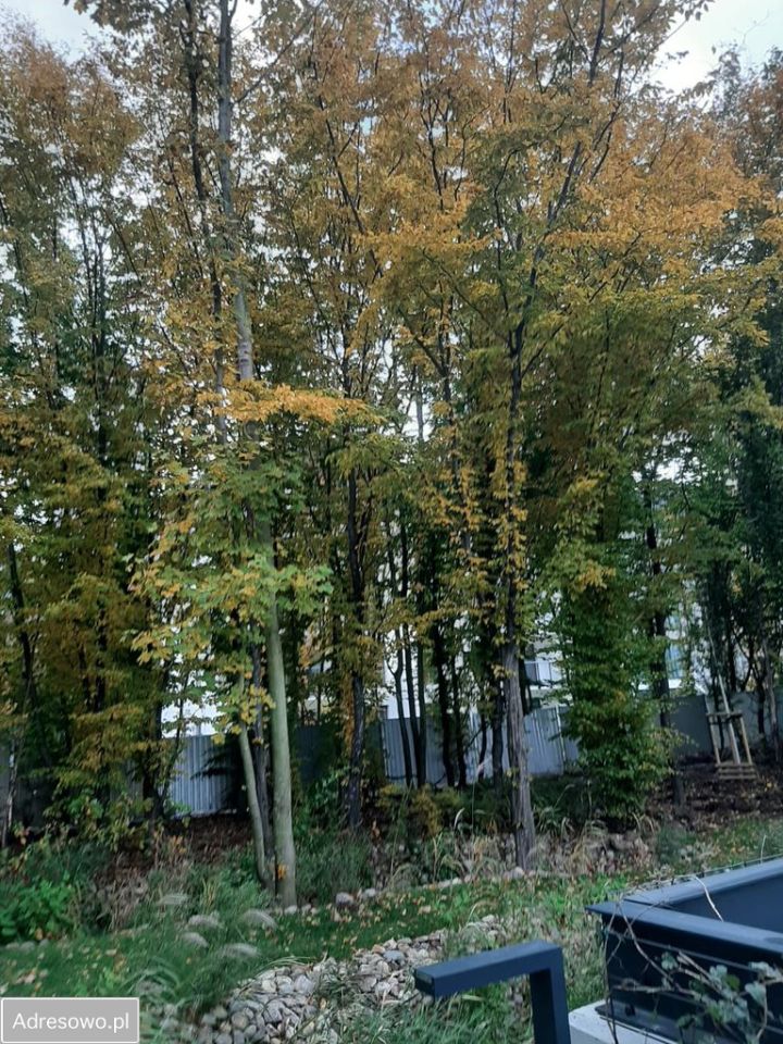 Mieszkanie 3-pokojowe Gdańsk Orunia Górna, ul. Erwiny Barzychowskiej. Zdjęcie 2