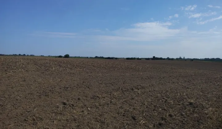 Działka rolna Morsk
