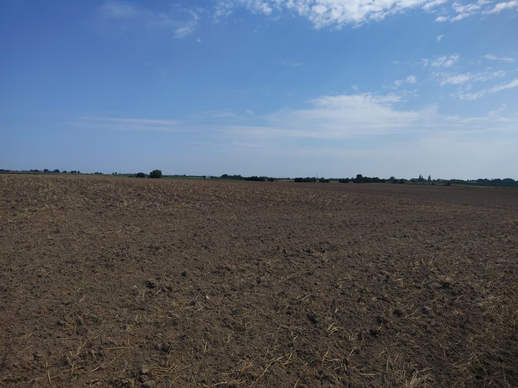 Działka rolna Morsk. Zdjęcie 1