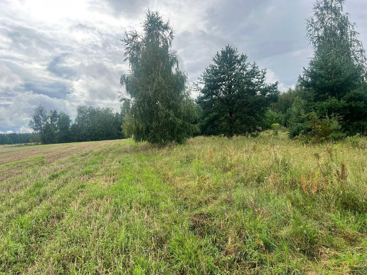 Działka budowlana Gzowice-Kolonia. Zdjęcie 3