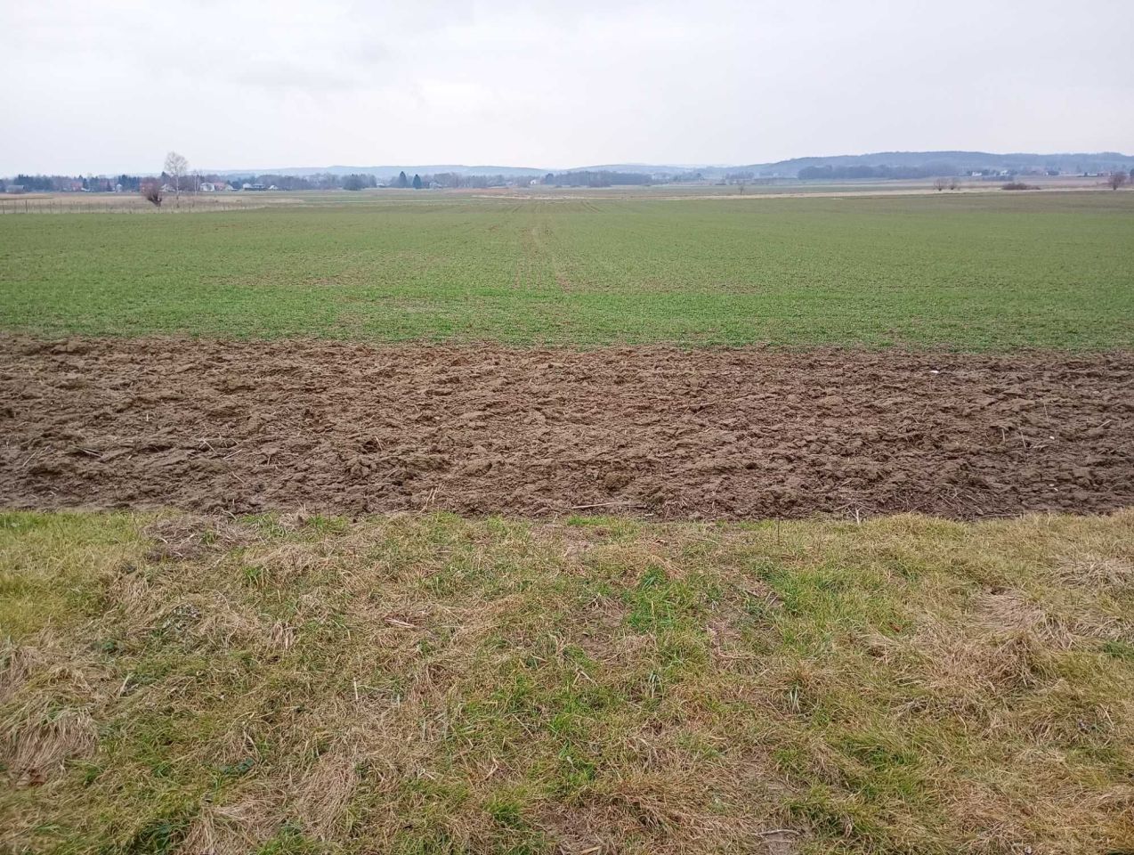 dom wolnostojący, 5 pokoi Jaszczew. Zdjęcie 7