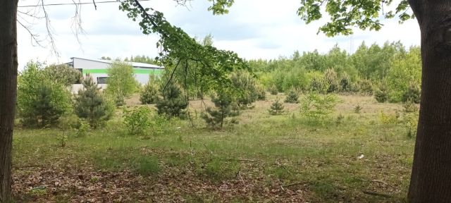 Działka inwestycyjna Kozły. Zdjęcie 1