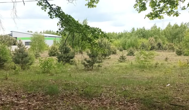 Działka inwestycyjna Kozły