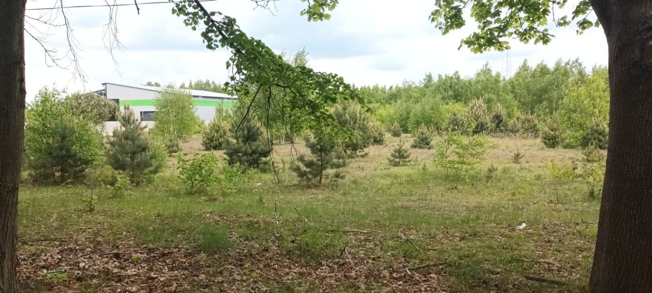 Działka inwestycyjna Kozły