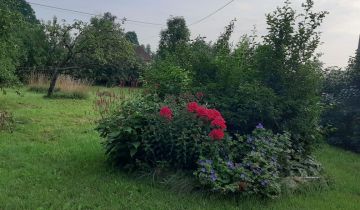 dom wolnostojący, 2 pokoje Wasiły-Zygny