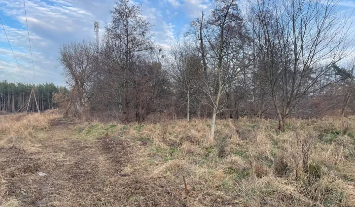 Działka budowlana Żyrardów, ul. Akacjowa