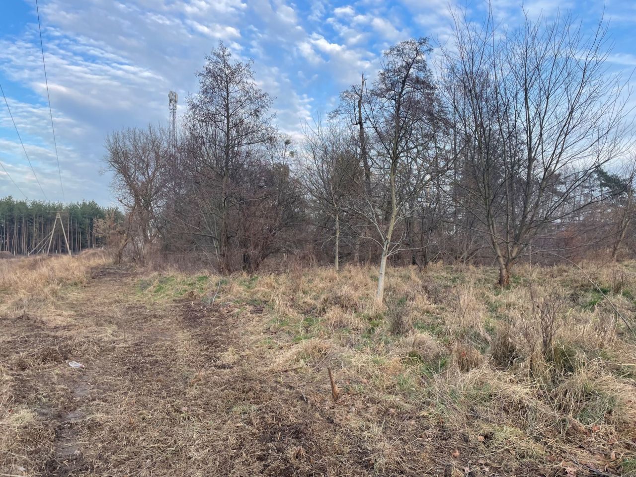 Działka budowlana Żyrardów, ul. Akacjowa