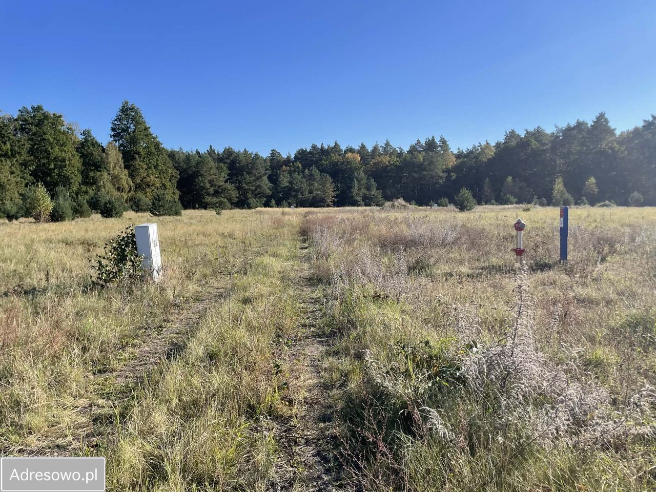 Działka budowlana Miłowo. Zdjęcie 4