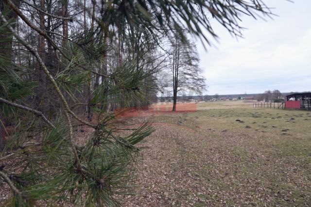 dom wolnostojący, 4 pokoje Staniszcze Wielkie. Zdjęcie 18