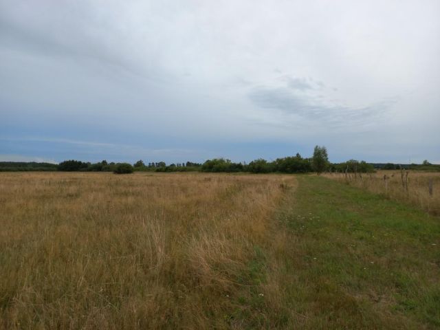 Działka rolna Kopnica. Zdjęcie 1