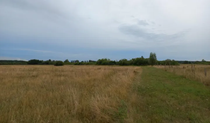 Działka rolna Kopnica