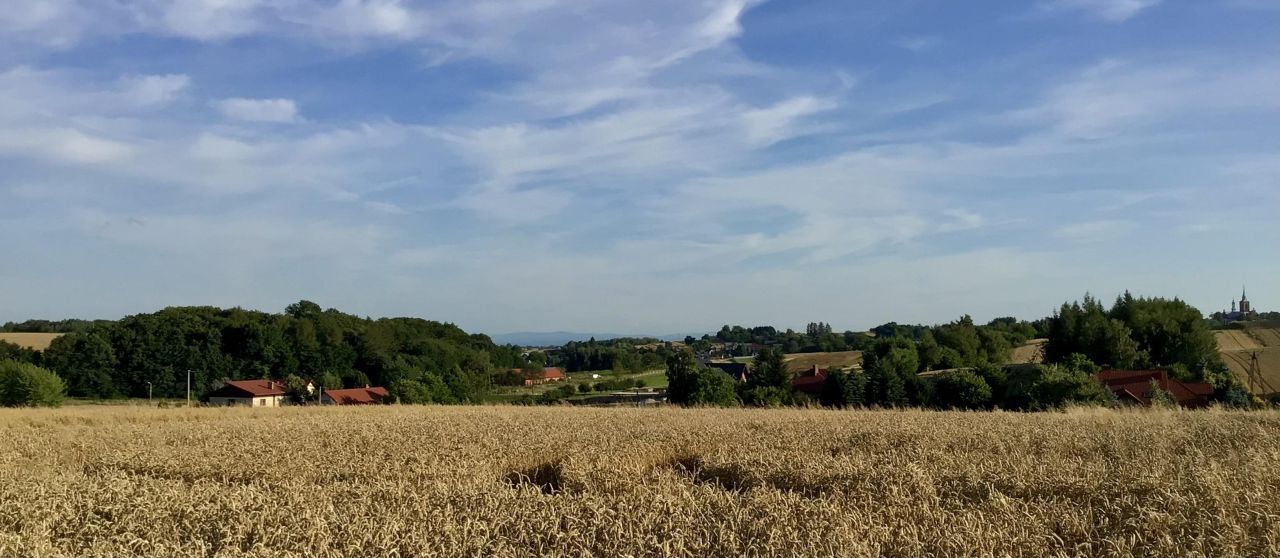 Działka budowlana Cianowice Pod Skałkami, ul. Słoneczna. Zdjęcie 6