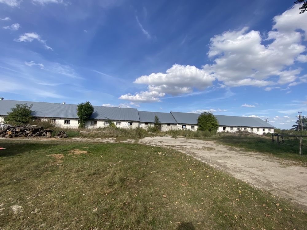 Działka inwestycyjna Bogdanów. Zdjęcie 2