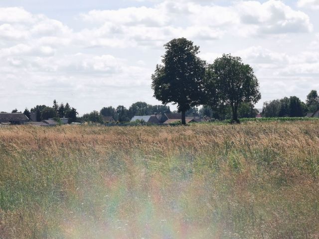 Działka rolna Kleszczyna. Zdjęcie 5