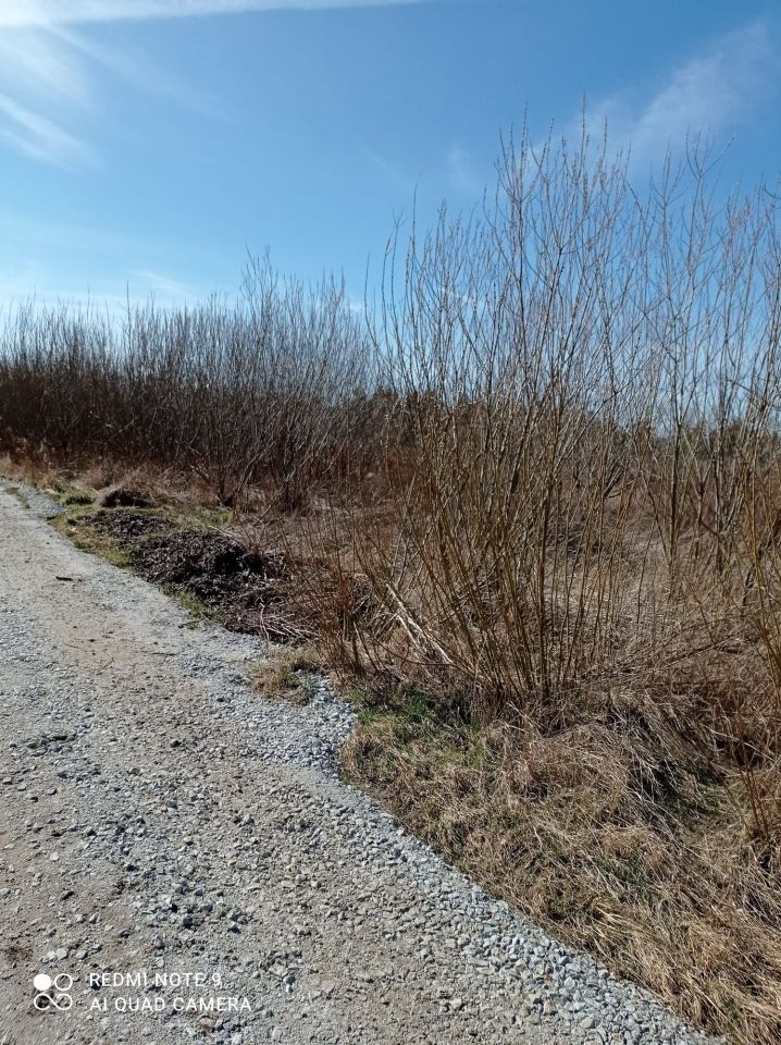 Działka inwestycyjna Świebodzice. Zdjęcie 3