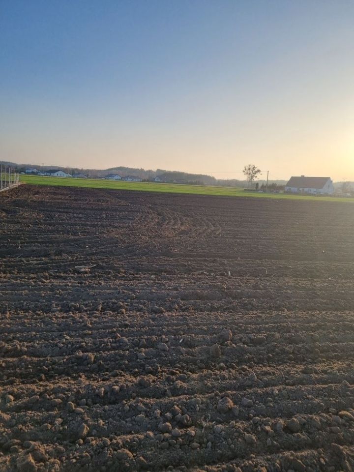 Działka budowlana Biały Bór. Zdjęcie 7