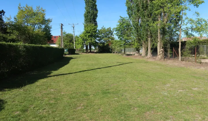 Działka budowlana Domaniew, ul. Warsa i Sawy