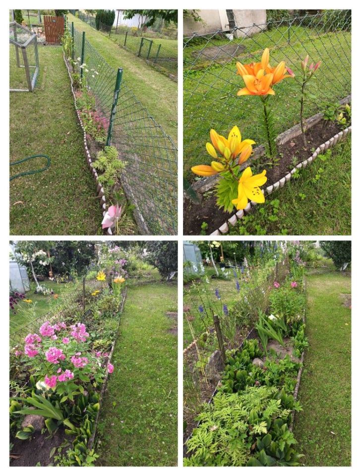 Działka rod Koszalin Rokosowo, ul. św. Wojciecha. Zdjęcie 3