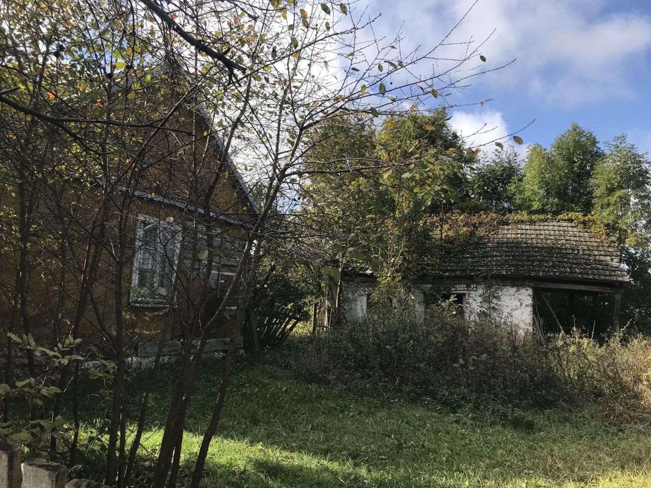 Działka budowlana Lipa. Zdjęcie 15