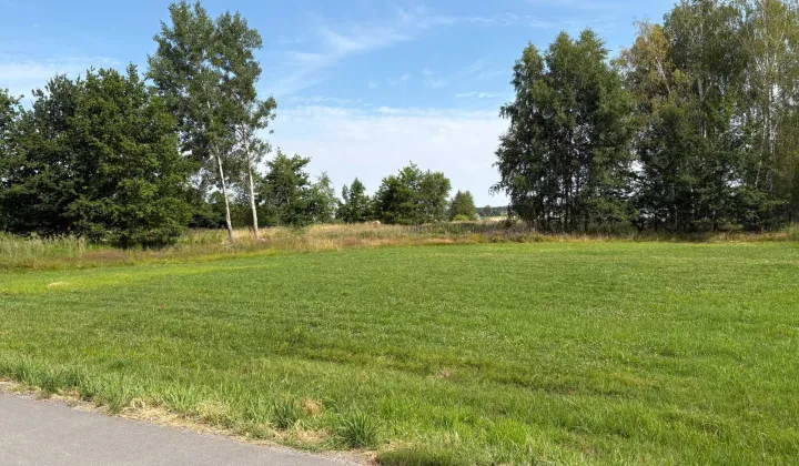 Działka inwestycyjna Żory, ul. Złota