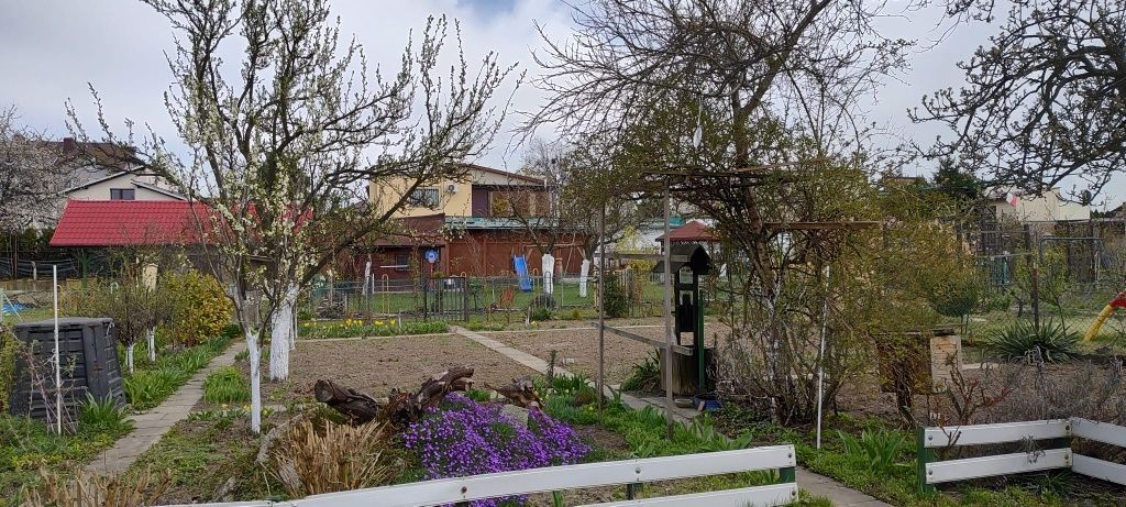 Działka rod Głogów, ul. Rudnowska. Zdjęcie 4