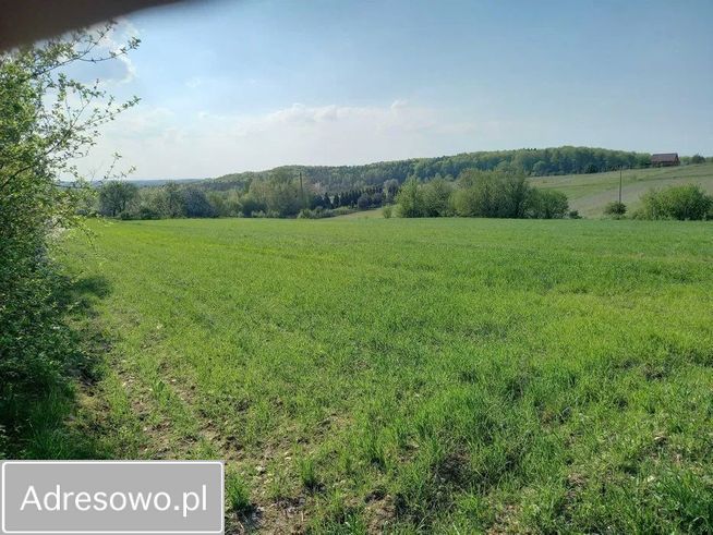 Działka budowlana Suliszowice. Zdjęcie 4