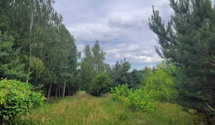 Działka rolno-budowlana Stare Byliny