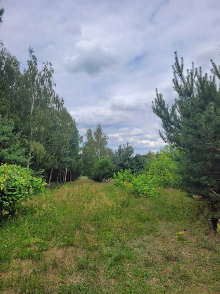 Działka rolno-budowlana Stare Byliny