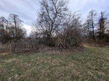 Działka rolna Krajęczyn. Zdjęcie 3