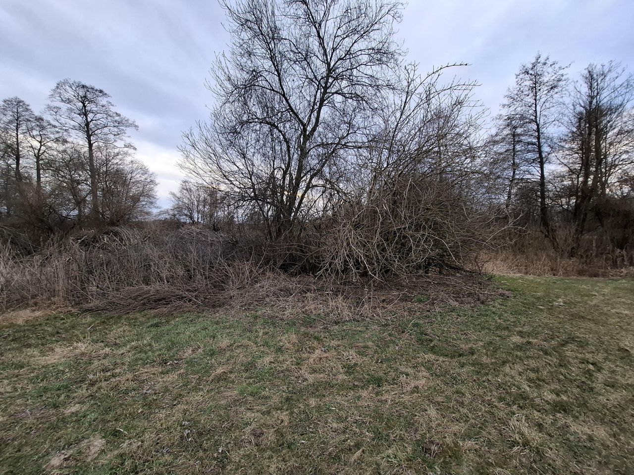 Działka rolna Krajęczyn. Zdjęcie 4