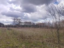 Działka rolno-budowlana Baciuty. Zdjęcie 1