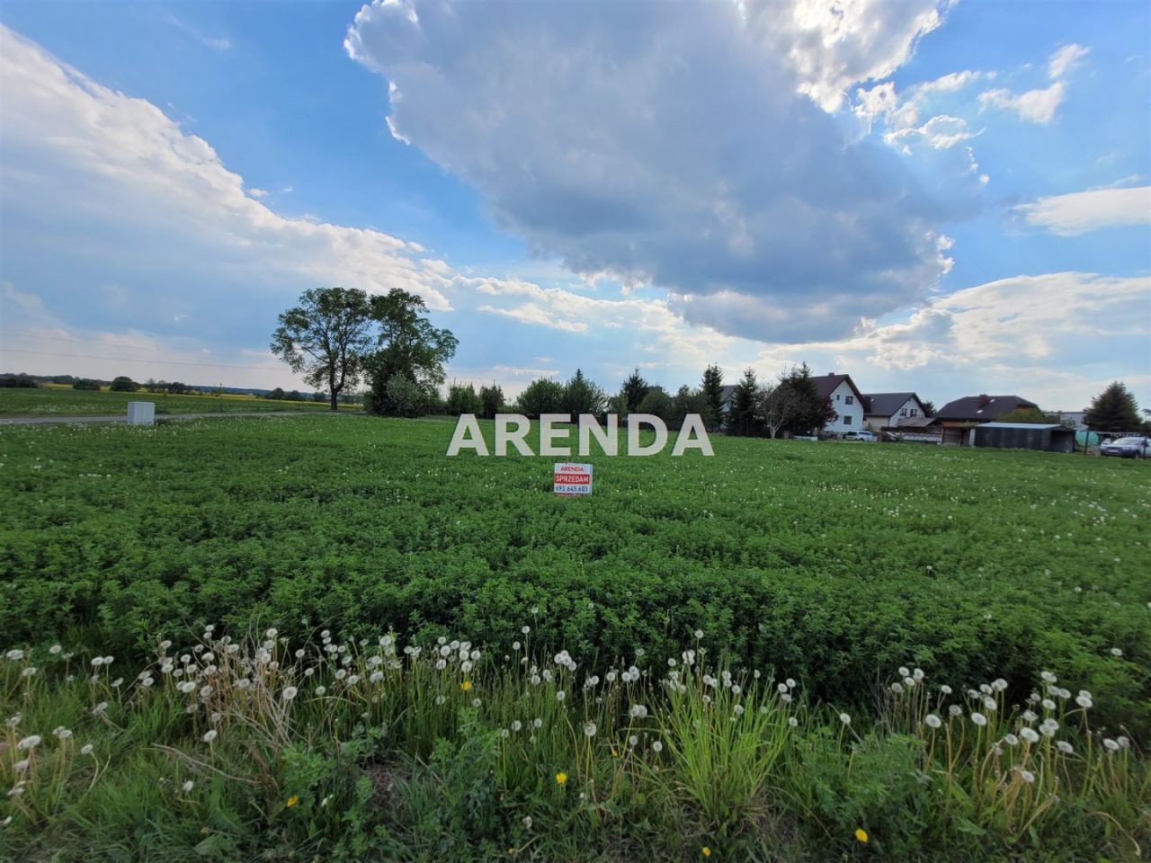 Działka budowlana Sienno. Zdjęcie 2