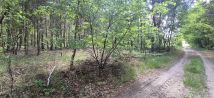 Działka rolno-budowlana Antonielów. Zdjęcie 4