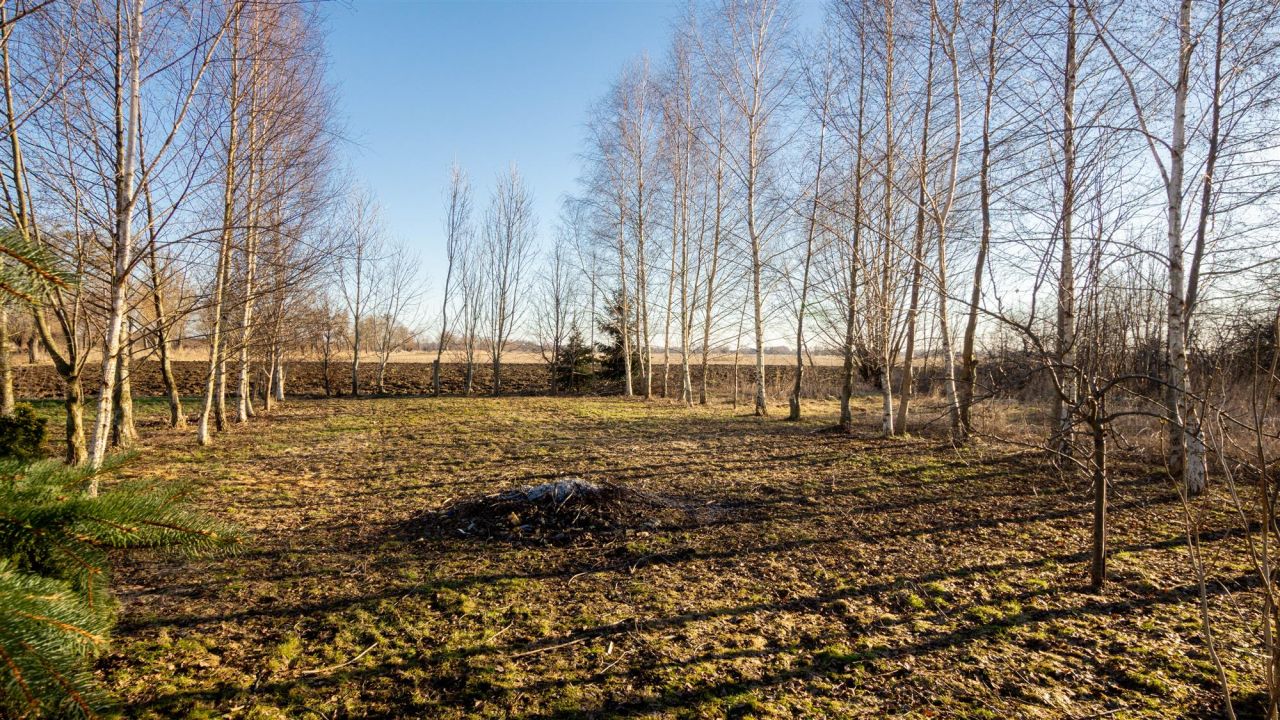bliźniak, 2 pokoje Markusy. Zdjęcie 13