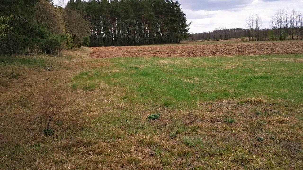 Działka rolna Pieńki. Zdjęcie 5