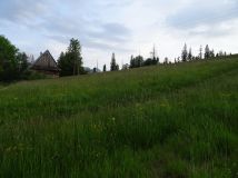 Działka rolna Zakopane Gubałówka, ul. Gubałówka