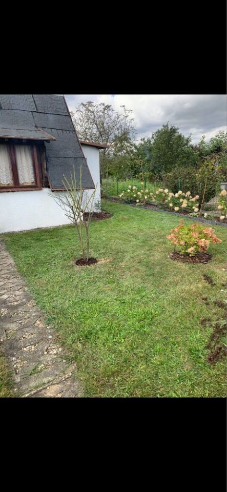 Działka rod Milicz. Zdjęcie 2