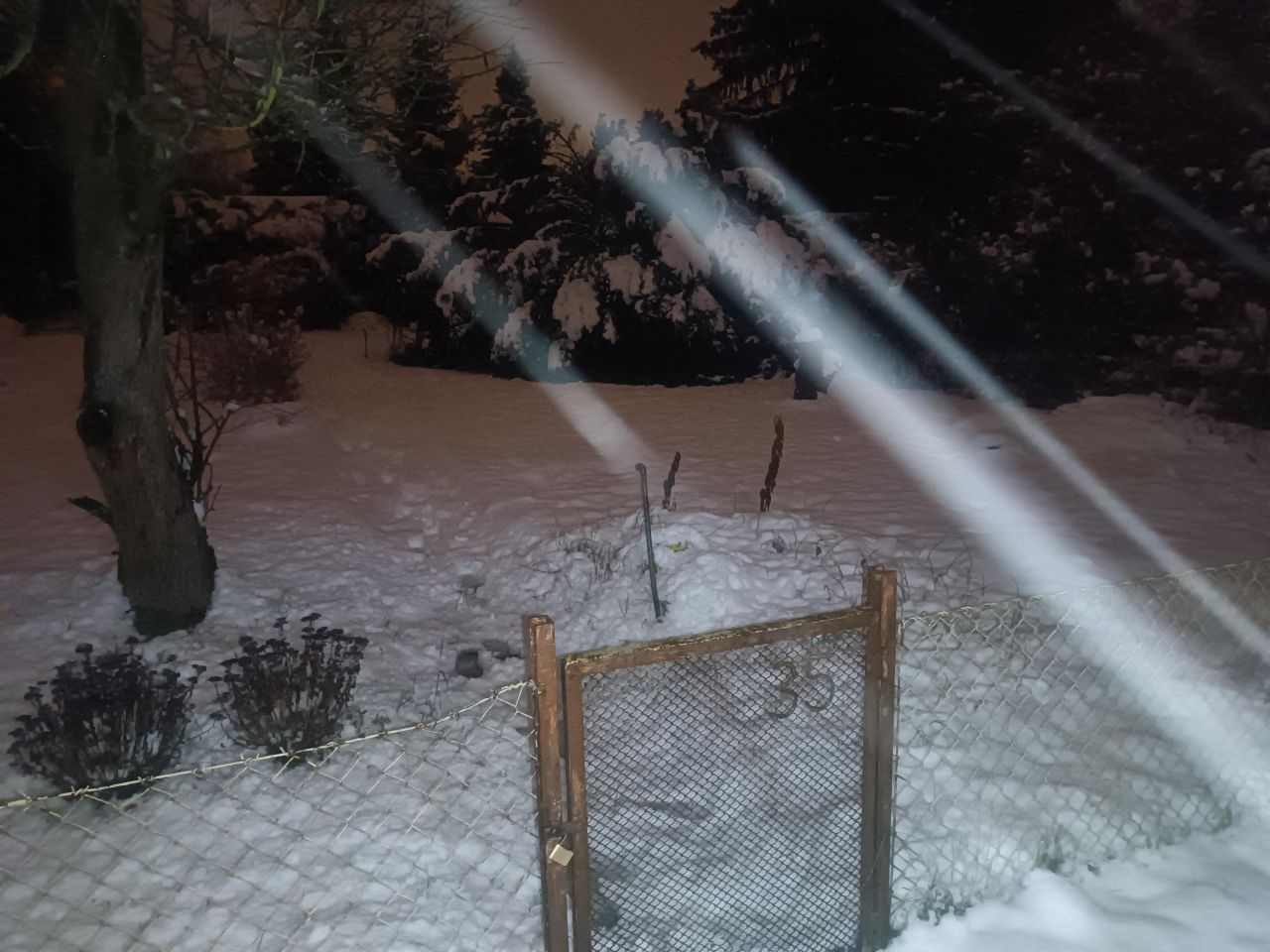 Działka rod Poznań Ławica, ul. Bukowska. Zdjęcie 3