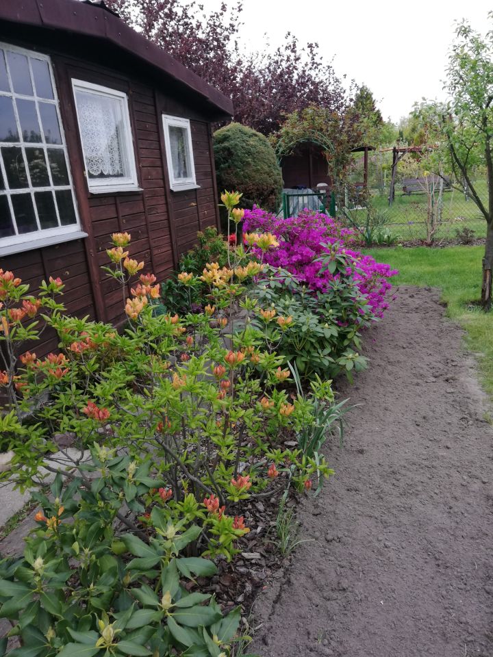 Działka rod Warszawa Bemowo, Dzialka ROD Bemowo II. Zdjęcie 15