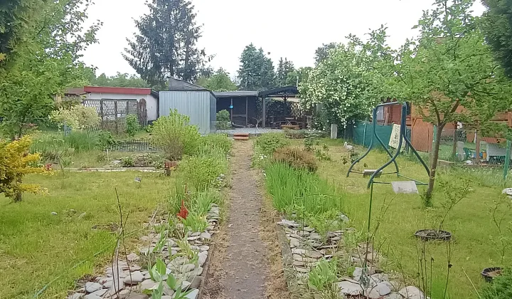 Działka rod Knurów Szczygłowice, Przy Aleji Piastów