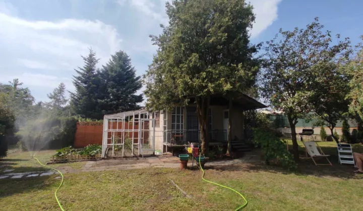 Działka rod Tomaszów Mazowiecki, Wierzbowa